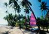 Jean-Michel Cousteau Fiji Islands Resort 